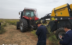 2019年，內蒙奈吉牧草有限公司，采購一臺Anderson檸條平茬機